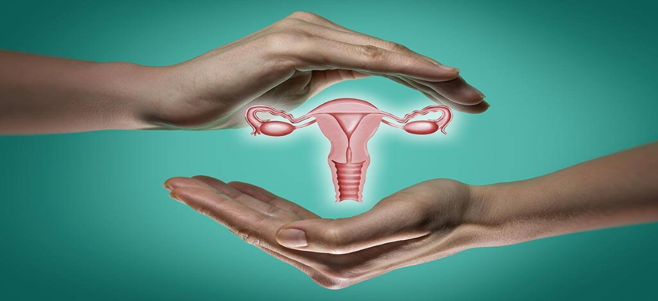 ovarian image
